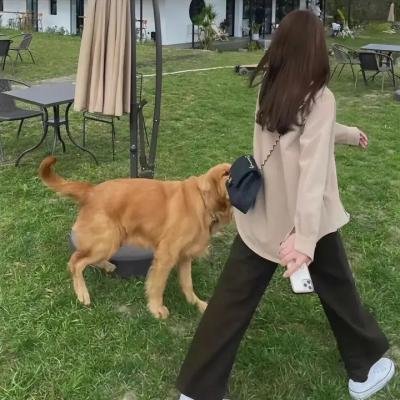 金牌投资人
